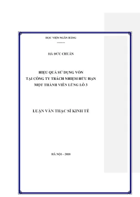 Hiệu Quả Sử Dụng Vốn Tại Công Ty TNHH MTV Lũng Lô 3