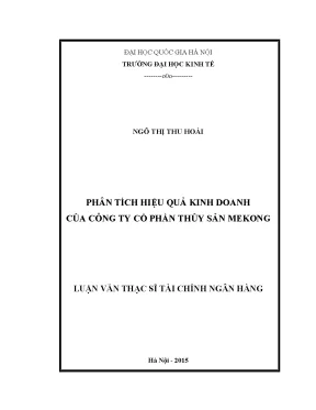 Phân tích hiệu quả kinh doanh của công ty cổ phần thủy sản mekong