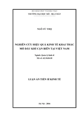 Nghiên Cứu Hiệu Quả Kinh Tế Khai Thác Mỏ Dầu Khí Cận