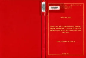 Nâng Cao Chất Lượng Xếp Hạng Tín Dụng Doanh Nghiệp Nhỏ