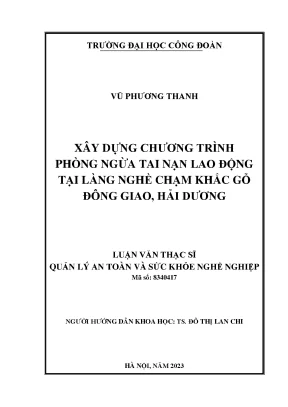 Chương Trình Phòng Ngừa Tai Nạn Lao Động Tại Làng Nghề 