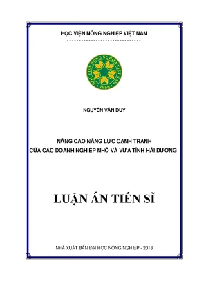 Nâng Cao Năng Lực Cạnh Tranh Cho Doanh Nghiệp Nhỏ Và Vừa