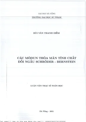 Nghiên Cứu Vấn Đề Đối Ngẫu Schröder-Bernstein Trong Các