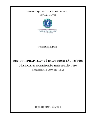 Quy Định Pháp Luật Về Hoạt Động Đầu Tư Vốn Của Doanh 