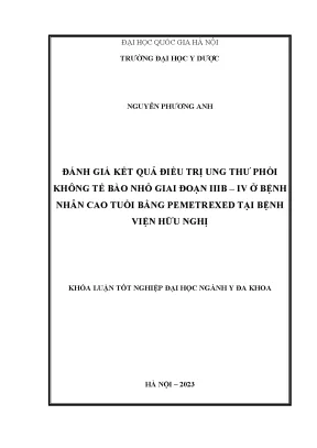 Đánh Giá Hiệu Quả Điều Trị Ung Thư Phổi Không Tế Bào Nhỏ