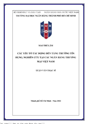 Các Yếu Tố Ảnh Hưởng Đến Tăng Trưởng Tín Dụng Tại Ngân