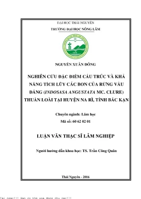 Nghiên Cứu Khả Năng Tích Lũy Carbon Của Rừng Vầu Đắng