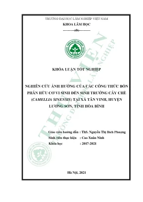 Nghiên Cứu Ảnh Hưởng Của Phân Hữu Cơ Vi Sinh Đến Sinh