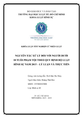 Nguyên Tắc Xử Lý Người Dưới 18 Tuổi Phạm Tội Theo Bộ