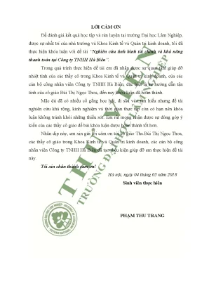 Nghiên Cứu Tình Hình Tài Chính và Khả Năng Thanh Toán 