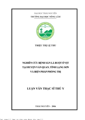 Nghiên Cứu Bệnh Sán Lá Ruột Ở Vịt Tại Huyện Văn Quan,