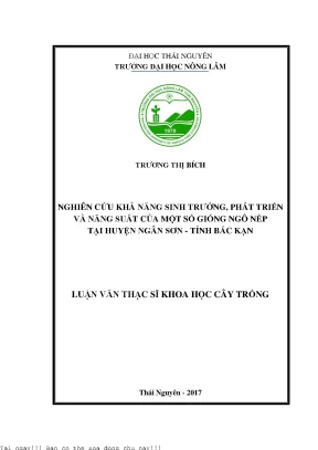 Nghiên Cứu Khả Năng Sinh Trưởng và Năng Suất Giống Ngô