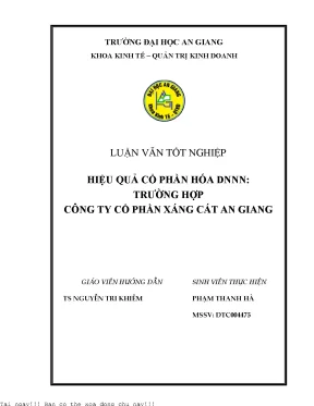 Cổ Phần Hóa Doanh Nghiệp Nhà Nước: Nghiên Cứu Tình Hình 