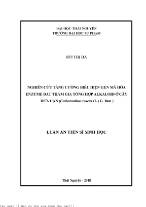 Nghiên Cứu Tăng Cường Biểu Hiện Gen DAT Trong Cây Dừa Cạn