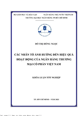 Những Nhân Tố Ảnh Hưởng Đến Hiệu Quả Hoạt Động Của Ngân