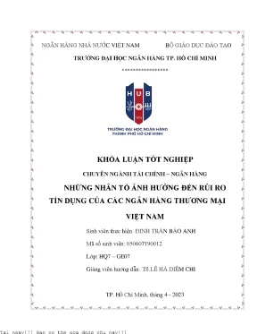 Những Nhân Tố Ảnh Hưởng Đến Rủi Ro Tín Dụng Tại Ngân