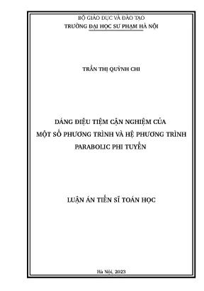 Nghiên Cứu Dáng Điệu Tiệm Cận Nghiệm Của Các Phương 