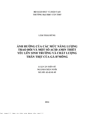 Nghiên Cứu Ảnh Hưởng Của Năng Lượng Trao Đổi Và Acid