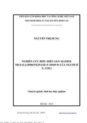 Nghiên Cứu Biểu Hiện Gen MMP-9 Ở E. Coli