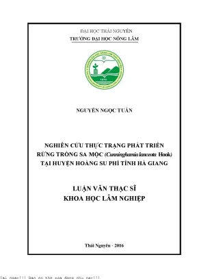 Nghiên Cứu Phát Triển Rừng Trồng Sa Mộc Tại Hoàng Su