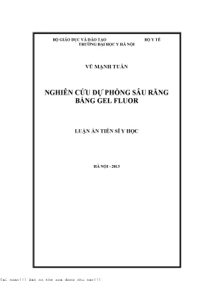 Nghiên Cứu Dự Phòng Sâu Răng Bằng Gel Fluor Tại Trường 
