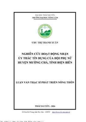 Nghiên Cứu Hoạt Động Nhận Ủy Thác Tín Dụng Của Hội Phụ