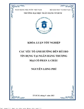 Các Yếu Tố Ảnh Hưởng Đến Rủi Ro Tín Dụng Tại Ngân Hàng