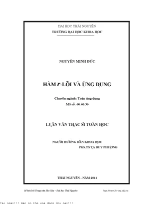 Nghiên cứu Hàm r-Lồi và Ứng Dụng trong Tối Ưu Hóa