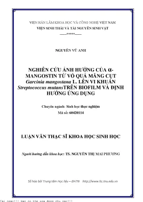Nghiên cứu tác động của α-Mangostin từ vỏ quả măng cụt