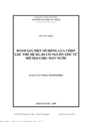 Đánh Giá Dòng Lúa Chịu Hạn Thế Hệ R3, R4 Từ Mô Sẹo