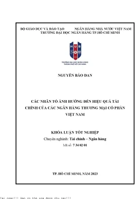 Các Nhân Tố Ảnh Hưởng Đến Hiệu Quả Tài Chính Của Ngân
