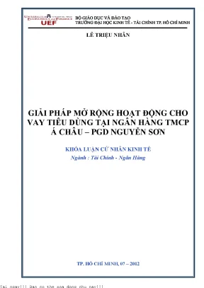 Giải Pháp Mở Rộng Hoạt Động Cho Vay Tiêu Dùng Tại Ngân