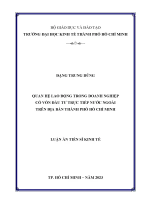 Nghiên Cứu Quan Hệ Lao Động Trong Doanh Nghiệp FDI Tại