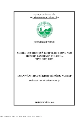 Nghiên Cứu Hiệu Quả Kinh Tế Hộ Trồng Ngô Tại Huyện Tủa