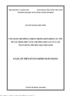 Nghiên Cứu Ứng Dụng Mô Hình CAMELS Trong Tăng Trưởng Cho