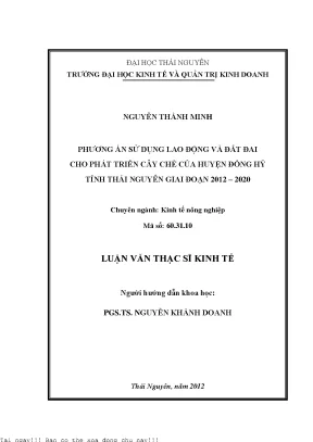 Phương Án Phát Triển Cây Chè Tại Huyện Đồng Hỷ, Tỉnh