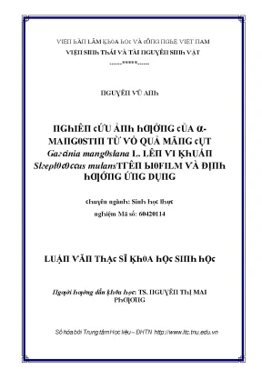 Nghiên cứu tác động của α mangostin từ vỏ quả măng cụt