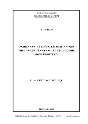 Nghiên Cứu Hệ Thống Tái Sinh In Vitro Ở Cây Đậu Nho Nhe