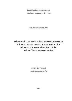 Đánh Giá Năng Lượng, Protein và Acid Amin Ảnh Hưởng Đến