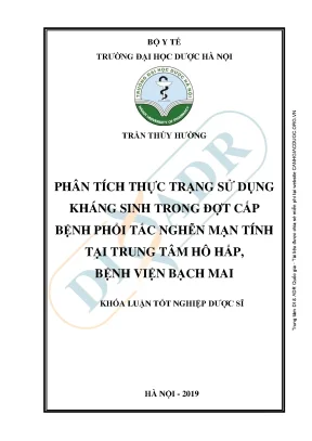 Phân Tích Sử Dụng Kháng Sinh Trong Đợt Cấp Bệnh Phổi Tắc