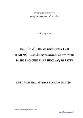 Nghiên cứu nhân giống địa lan trần mộng xuân bằng nuôi