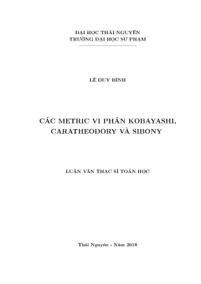 Nghiên Cứu Các Metric Vi Phân Kobayashi, Caratheodory và 