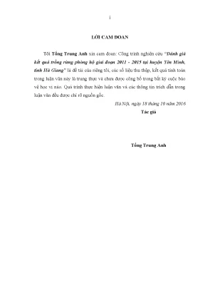 Đánh Giá Kết Quả Trồng Rừng Phòng Hộ Tại Yên Minh, Hà