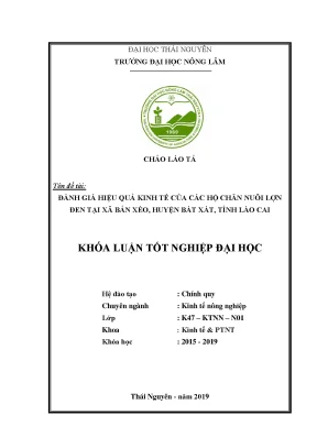 Đánh Giá Hiệu Quả Kinh Tế Chăn Nuôi Lợn Đen Tại Xã Bản
