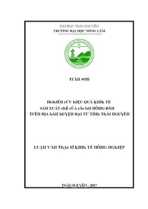 Hiệu Quả Kinh Tế Sản Xuất Hộ Gia Đình Tại Tỉnh Thái Nguyên