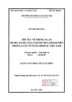 Thủ Tục Tố Tụng Hình Sự Đối Với Người Chưa Thành Niên