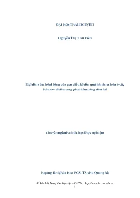 Nghiên cứu hiệu quả của đèn LED trong điều kiện ánh sáng