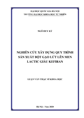 Quy Trình Sản Xuất Bột Gạo Lứt Lên Men Lactic Giàu Kefiran