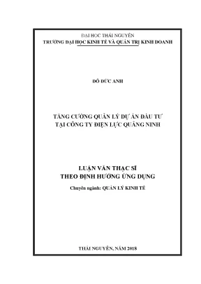 Tăng Cường Quản Lý Dự Án Đầu Tư Tại Công Ty Điện Lực