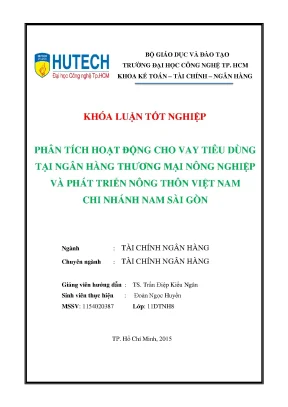 Phân Tích Hoạt Động Cho Vay Tiêu Dùng Tại Agribank Chi
